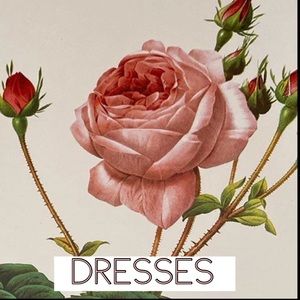 🌸Dresses🌸